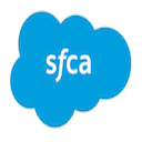 Salesforce Code Analyzer Task